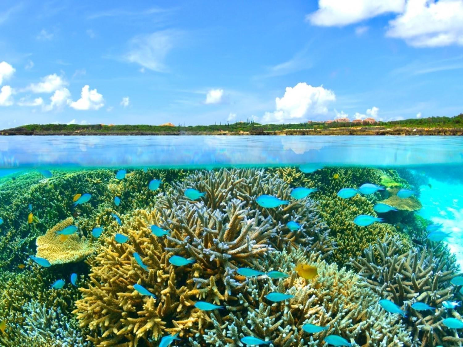 Hotel Shigira Mirage Miyakojima  Dış mekan fotoğraf